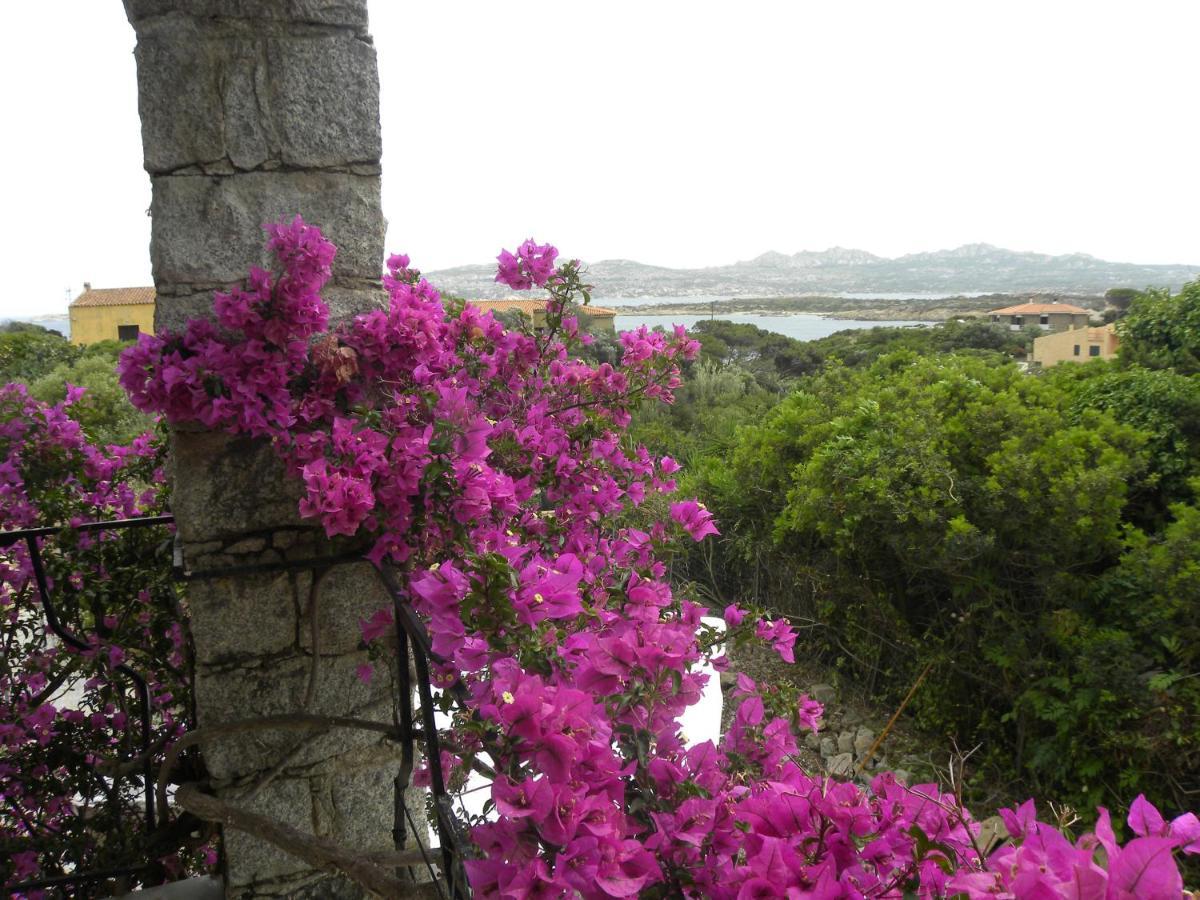 Villa Carlotta La Maddalena La Maddalena  Exteriör bild